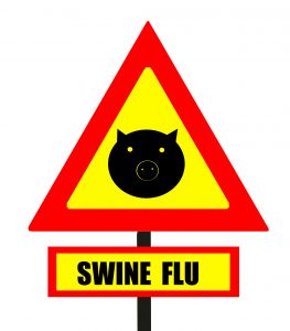 Swine Flu