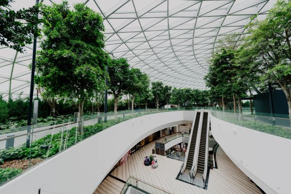architect IT support services