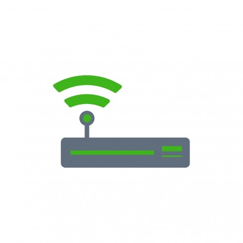Emergency IT Support for routers and Servers